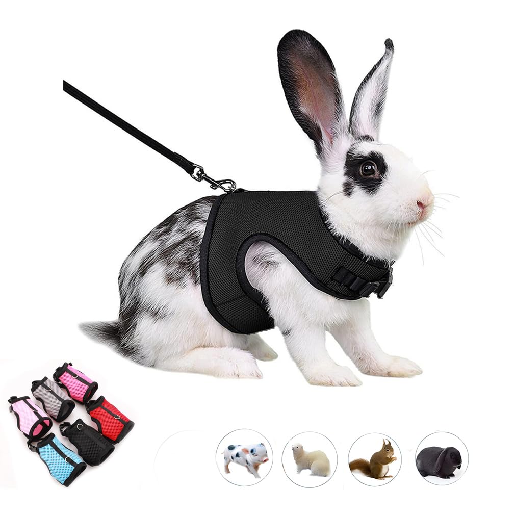 Bunny Harness Escape ProofRabbit Leash Set Vest Mesh Walking Training for Small Animal Pets Rat Ferret Squirrel Chinchillas Guinea Pig Bunnies Black XL