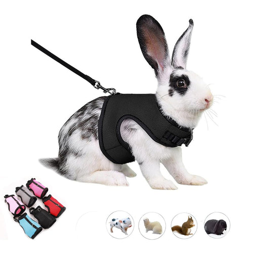 Bunny Harness Escape ProofRabbit Leash Set Vest Mesh Walking Training for Small Animal Pets Rat Ferret Squirrel Chinchillas Guinea Pig Bunnies Black XL